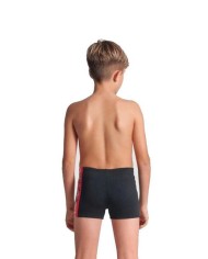 Arena B Palette Swim Short Erkek Çocuk Mayosu | Sporsuit