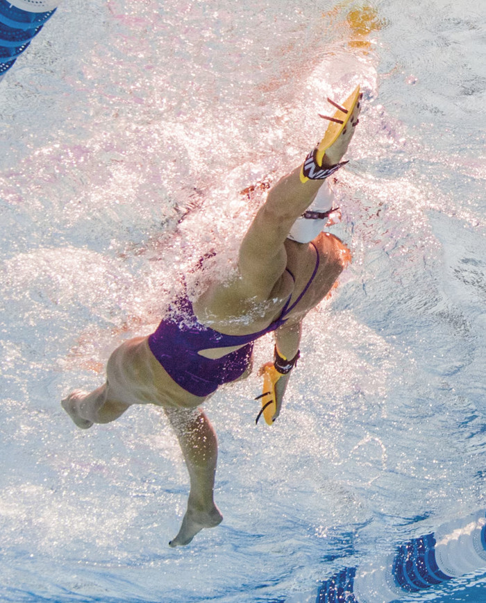 Finis Bolster Dikey Ön Kol Pozisyonlu El Paleti